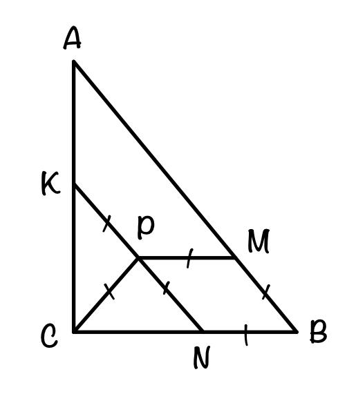 Прямоугольный треугольник ЕГЭ № 16